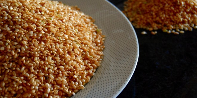 Arroz Integral