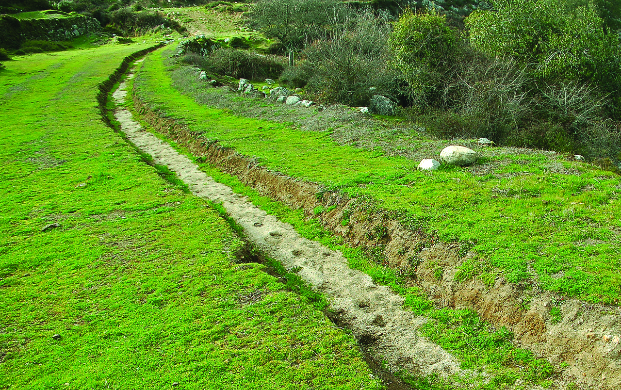 sowamo semear agua