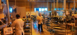 The market at the service of the poeple