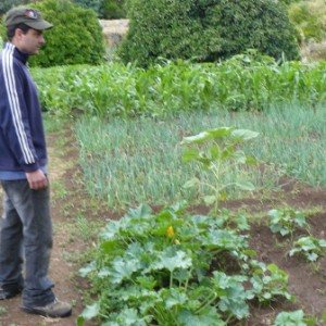 Filipe Baiona na horta