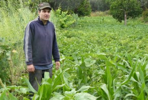 Filipe Baiona - Agricultor