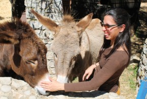 Lura com os burros