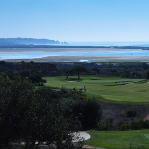 Palmares Golf - manteve vegetação autóctone