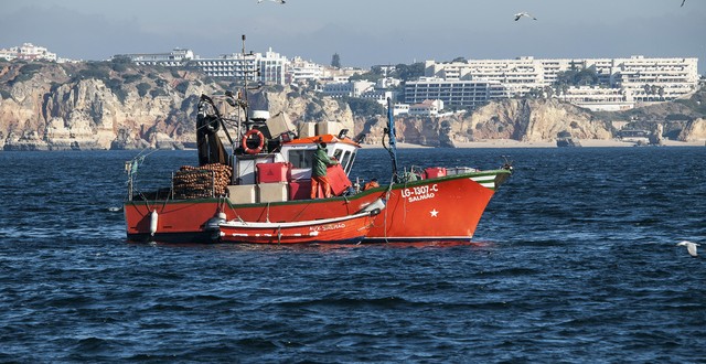 Pesca e turismo