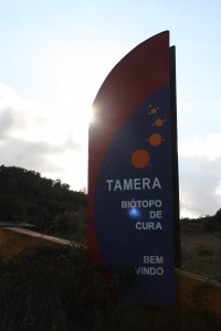 Tamera