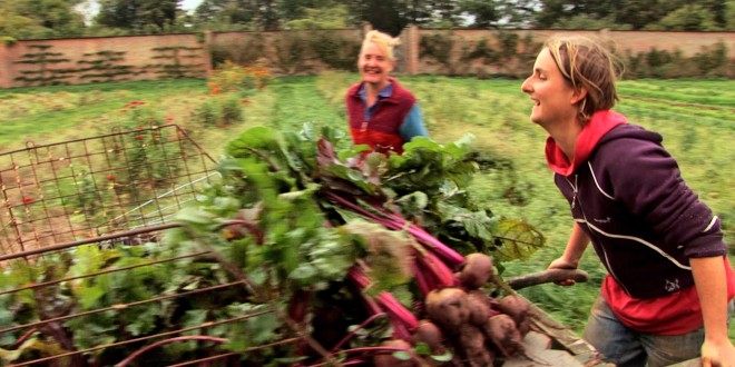 Voices-of-Transition_Leigh Court Farm-Bristol_Milpa Films