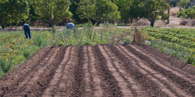 agricultura biologica no algarve