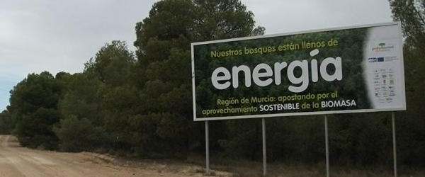 biomass in spain