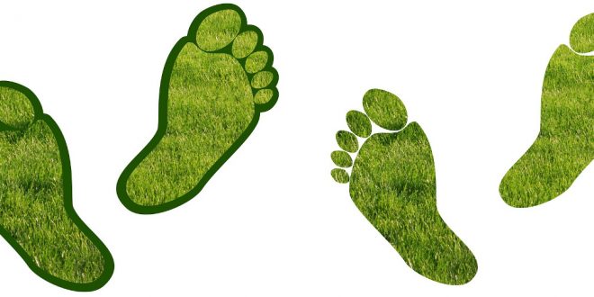 carbon-footprint