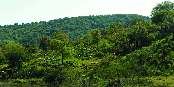 alterações climáticas