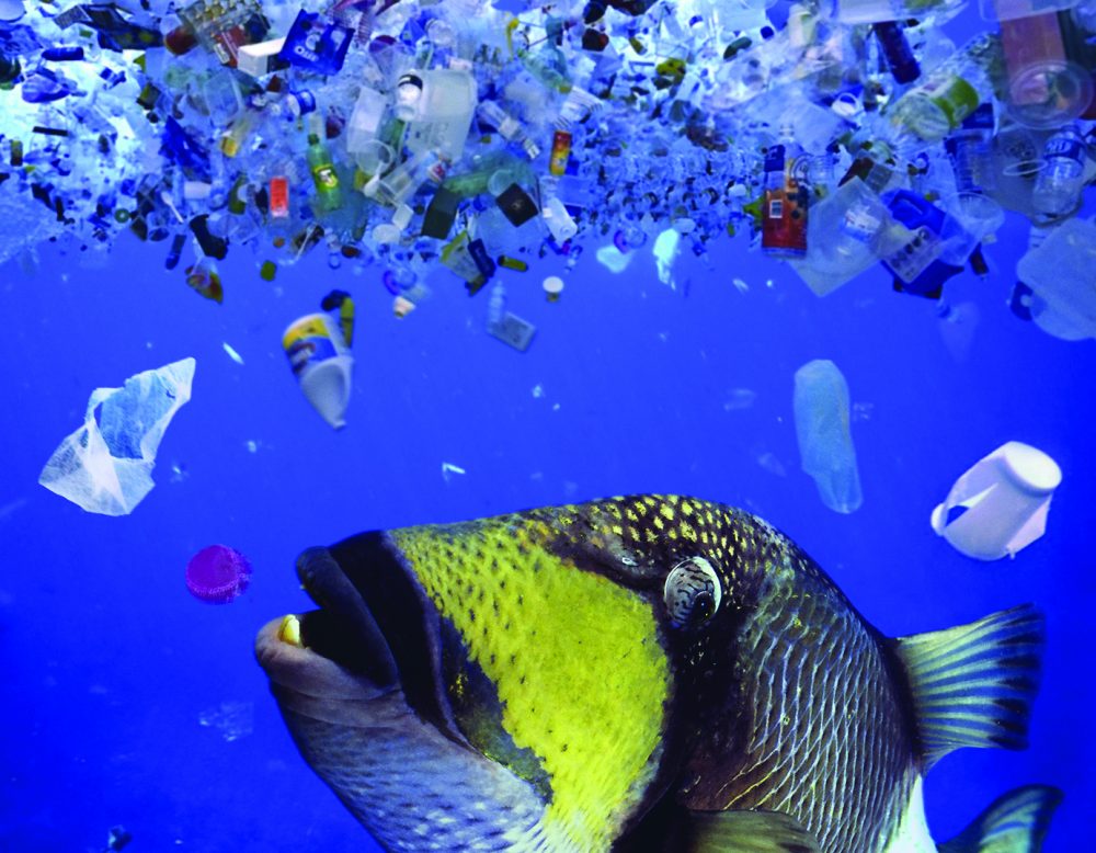 UN commits to stop ocean plastic waste