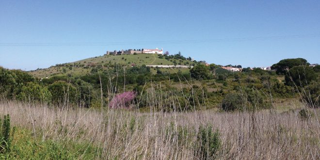 rota vicentina