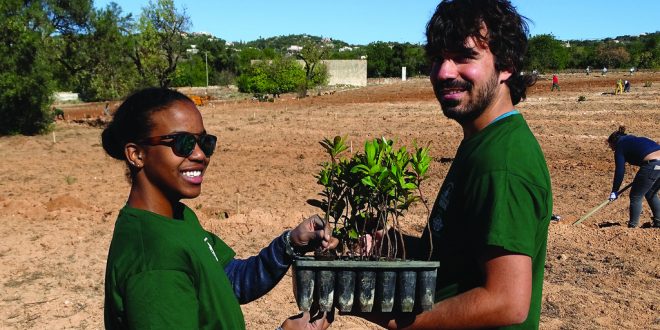 Terracrua Permaculture