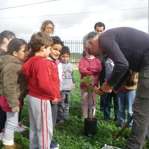 visita Escola Castelão